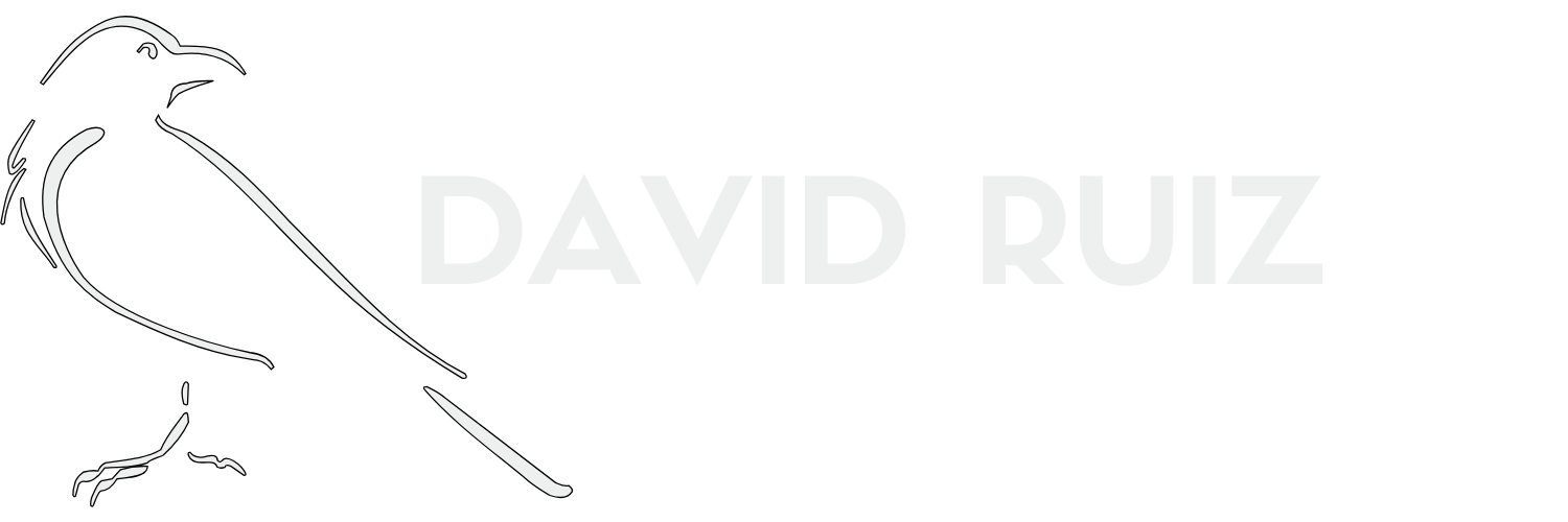 David Ruiz